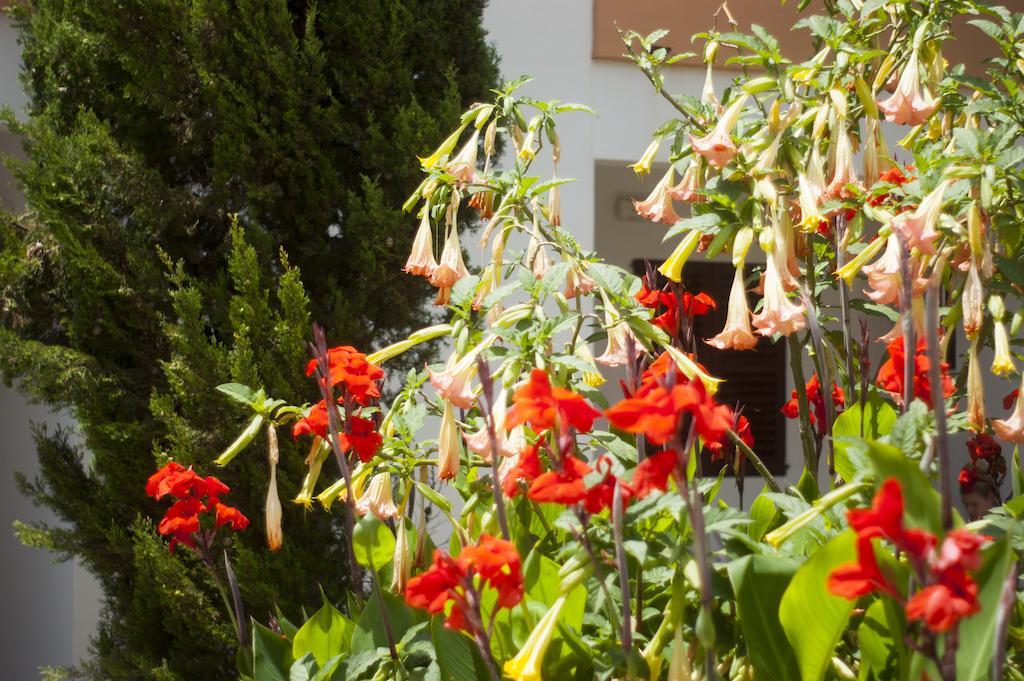Apartamentos Zodiac Sant Antoni de Portmany Zewnętrze zdjęcie